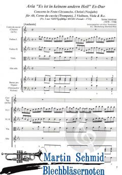 Es ist in keinem andern Heil 