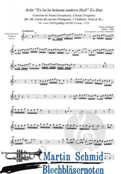 Es ist in keinem andern Heil 