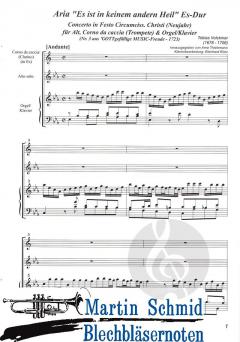 Es ist in keinem andern Heil 