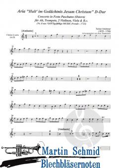 Halt' im Gedächtnis Jesum Christum 