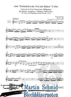 Schmücket das Fest mit Maien 