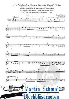 Lobet den Herren, ihr seine Engel 