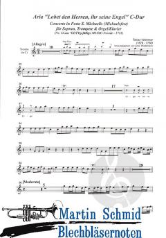 Lobet den Herren, ihr seine Engel 