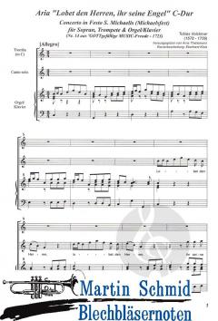 Lobet den Herren, ihr seine Engel 