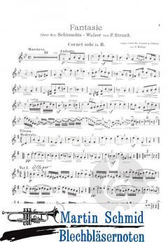 Fantasie über der Sehnsuchtswalzer von F.Strauss von Carl Höhne 