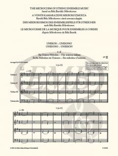 Der Mikrokosmos des Ensemblespiels für Streicher 1 von Béla Bartók im Alle Noten Shop kaufen (Partitur und Stimmen)