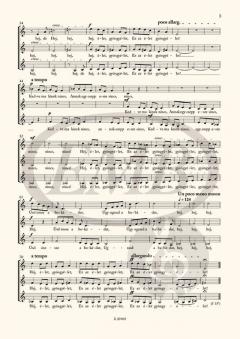 Csujogato BB111a von Béla Bartók 