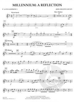 Millennium A Reflection von John Higgins 