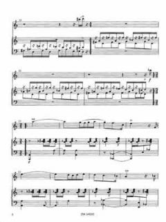 Rodrigo von Krzysztof Zgraja 