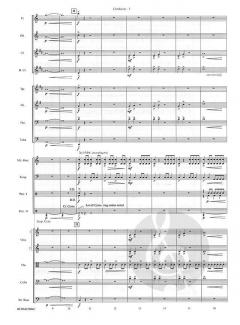 Soaring Through Ionian Skies von Robert W. Smith 