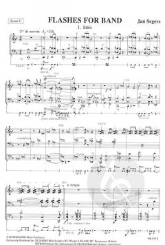 Flashes for Band von Jan Segers 