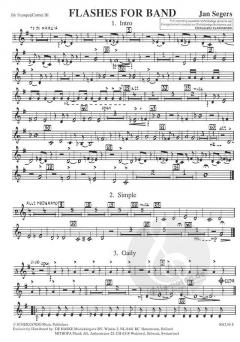 Flashes for Band von Jan Segers 
