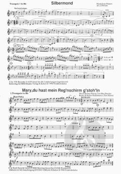 Lustige Musikanten 13 