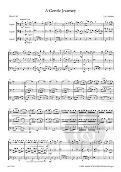 A Gentle Jourmey von Luc Grethen 