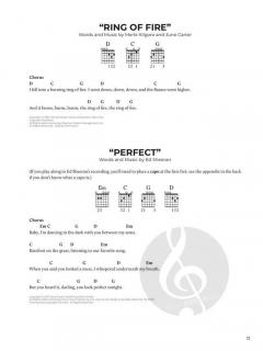 Do-It-Yourself Guitar 