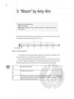 Contemporary Etudes for Harp 