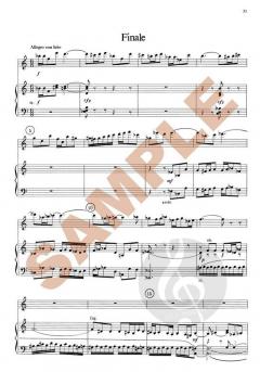 Concerto von Sven Einar Englund 