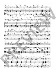 The Merry Fiddler von Joachim Johow (Download) 