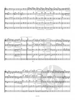 Die Fagotte sind los! im Alle Noten Shop kaufen (Partitur)