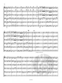 Die Fagotte sind los! im Alle Noten Shop kaufen (Partitur)