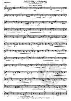 A crazy lazy Chilling Day von Gottfried Hummel 
