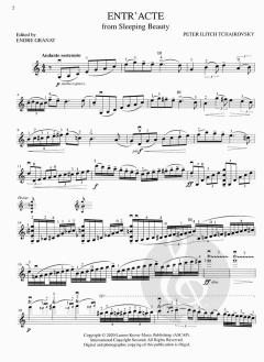 Famous Solos and Encores von Peter Iljitsch Tschaikowsky 