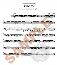 Solo 15 von Kalevi Aho 