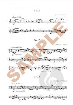 30 Concert Etudes von Tommi Hyytinen 