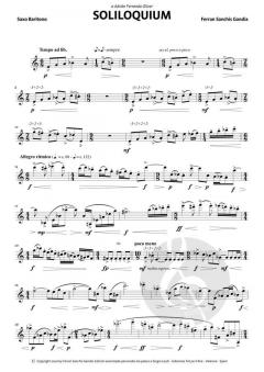 Soliloquium von Ferran Sanchis Gandia 