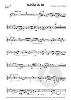 Elegía en Re von Francisco Andreu Comos 