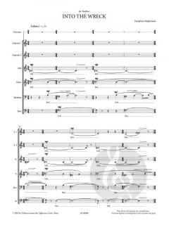 Into the Wreck von Josephine Stephenson 