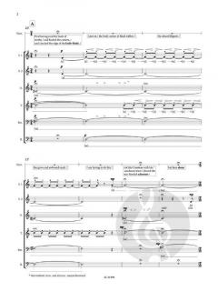 Into the Wreck von Josephine Stephenson 