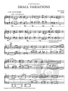 Small Variations von Nico Muhly 