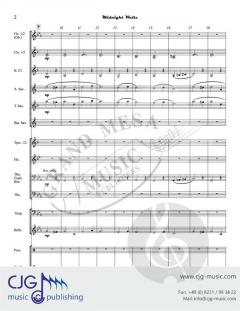 Midnight Waltz von Matt Neufeld 