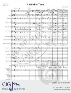 A Wind in Time von Gavin Lendt 