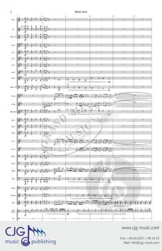 Witch Hunt von Aaron McMichael 