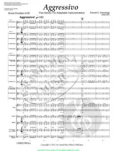 Aggressivo von Randall D. Standridge 