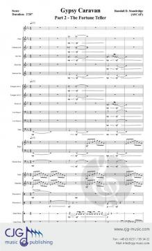 The Fortune Teller von Randall D. Standridge 