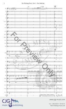 Witch's Dance and Flight von Randall D. Standridge 