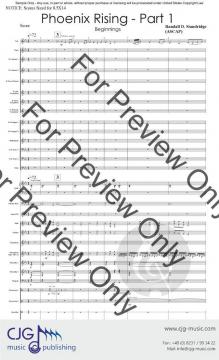 Phoenix Rising von Randall D. Standridge 