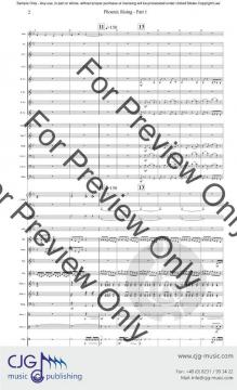 Re-Birth von Randall D. Standridge 