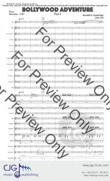 Bollywood Adventure 1 von Randall D. Standridge 