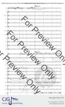 Bollywood Adventure 1 von Randall D. Standridge 