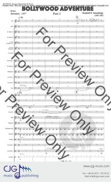 Bollywood Adventure 2 von Randall D. Standridge 
