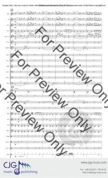 Bollywood Adventure 2 von Randall D. Standridge 