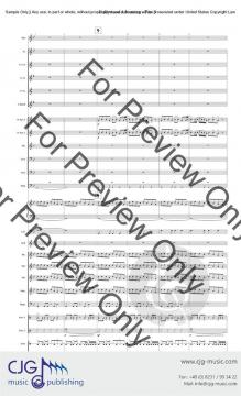 Bollywood Adventure 3 von Randall D. Standridge 