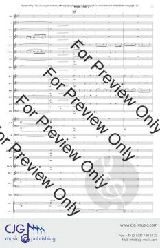 Ritual Part 3 von Igor Strawinsky 