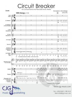 Circuit Breaker von Randall D. Standridge 