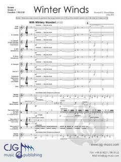 Winter Winds von Randall D. Standridge 