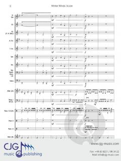 Winter Winds von Randall D. Standridge 